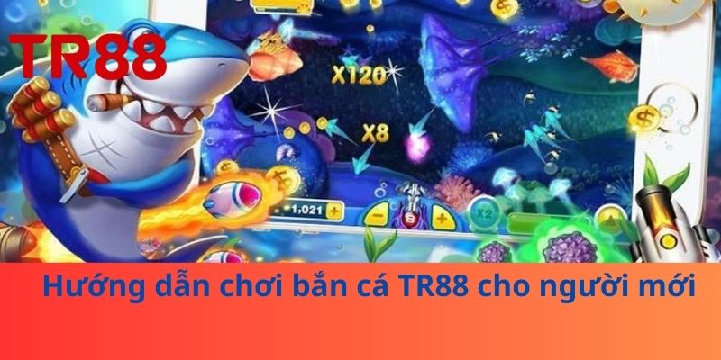 Hướng dẫn chơi bắn cá TR88 cho người mới